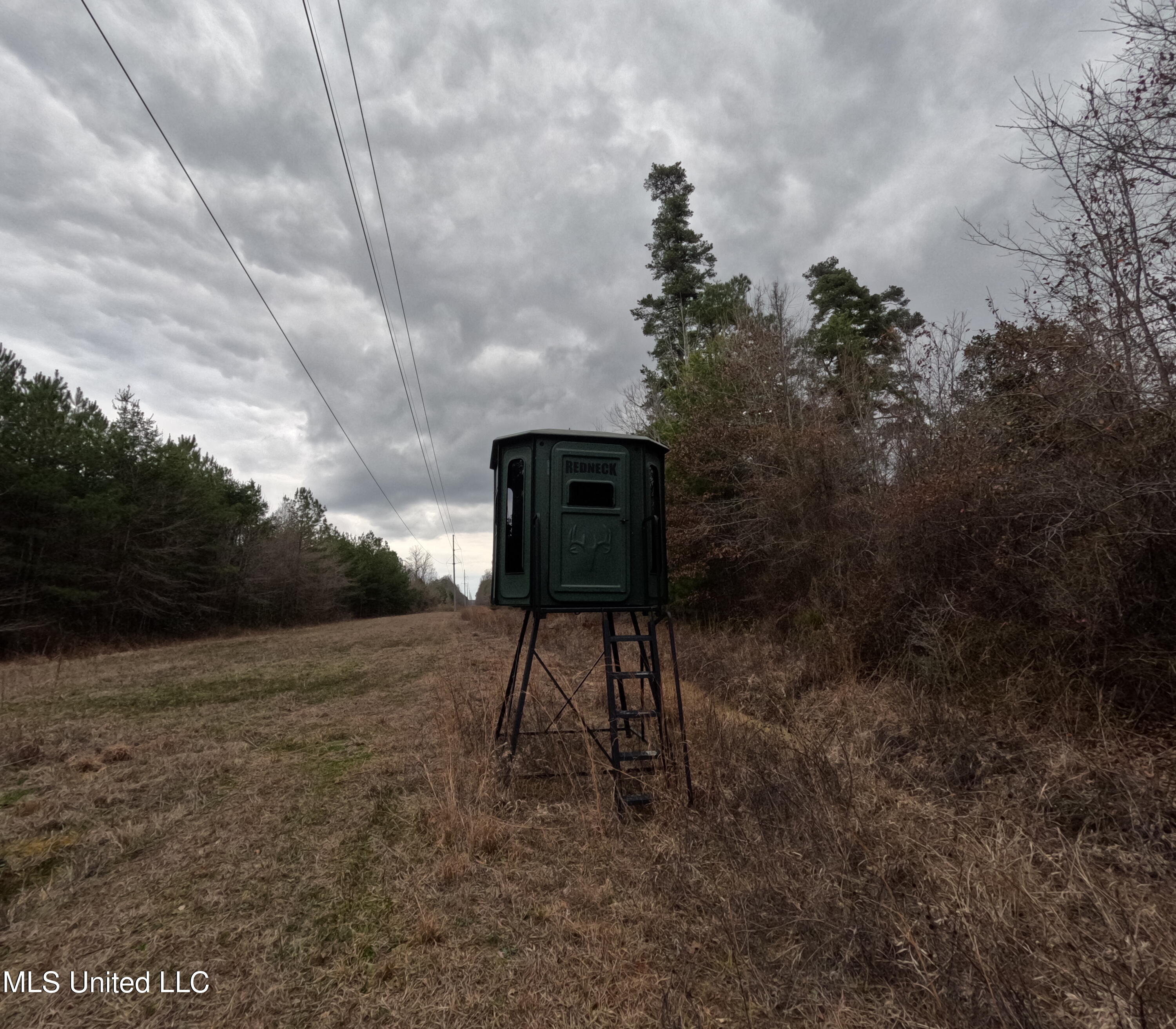 Christian Hts Road Braxton, MS 39044 - Photo 31 of 36 GOPR0790