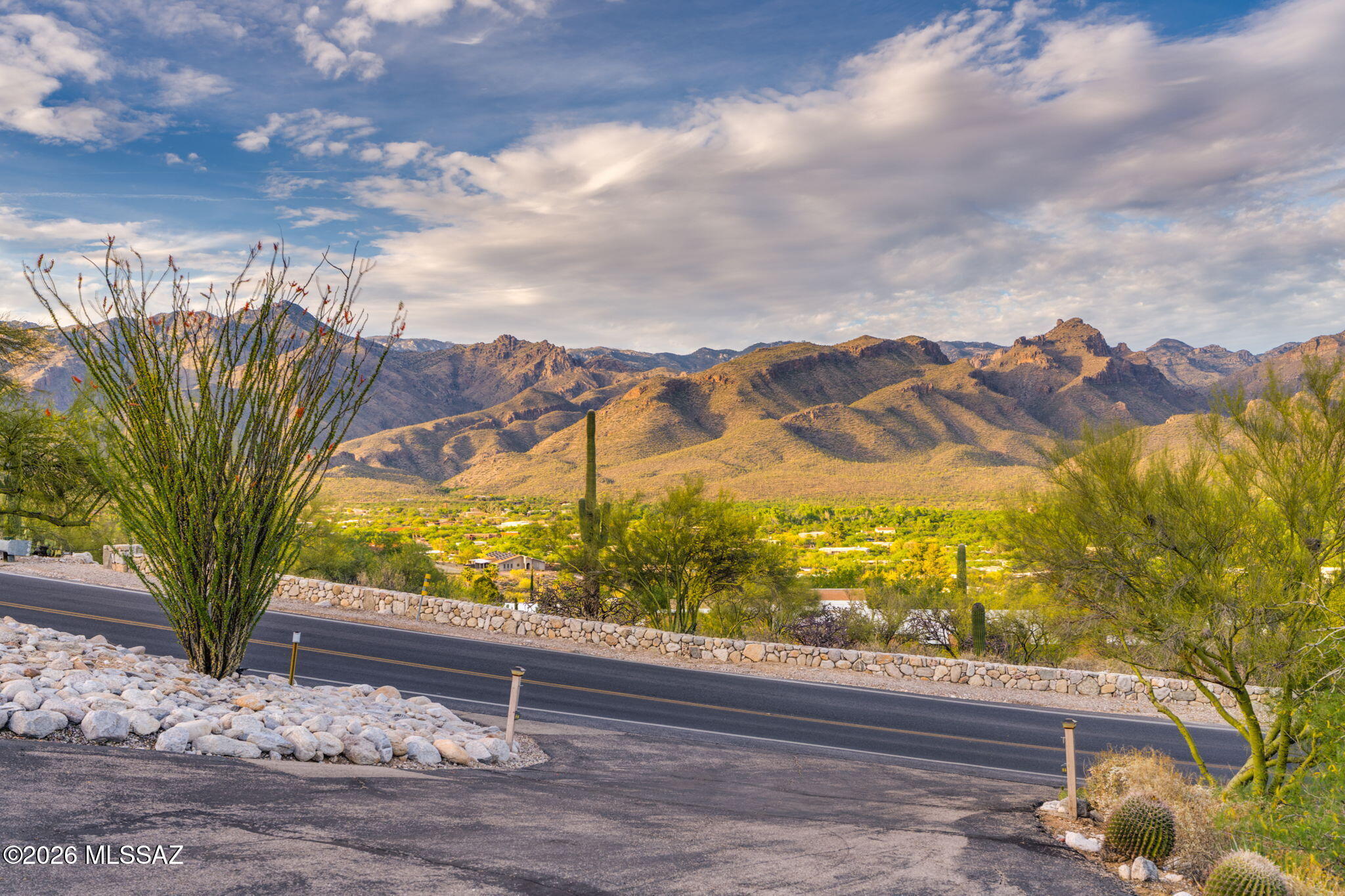 4641 North Rockcliff Road Tucson, AZ 85750 - Photo 4 of 48 The Catalina Mountains, view from the front door
