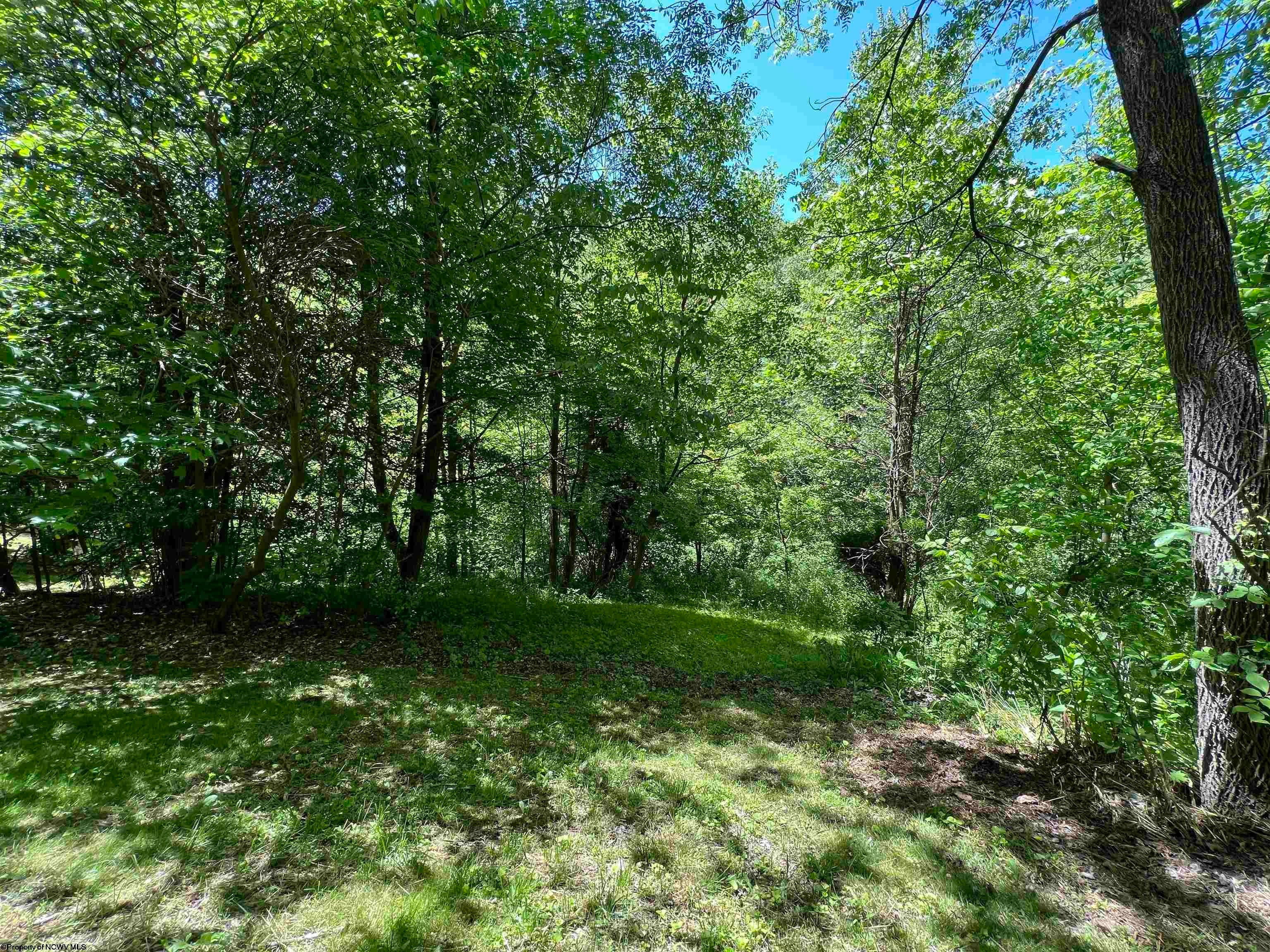 425 Helens Run Road Worthington, WV 26591 - Photo 30 of 31 Gallery Image 30