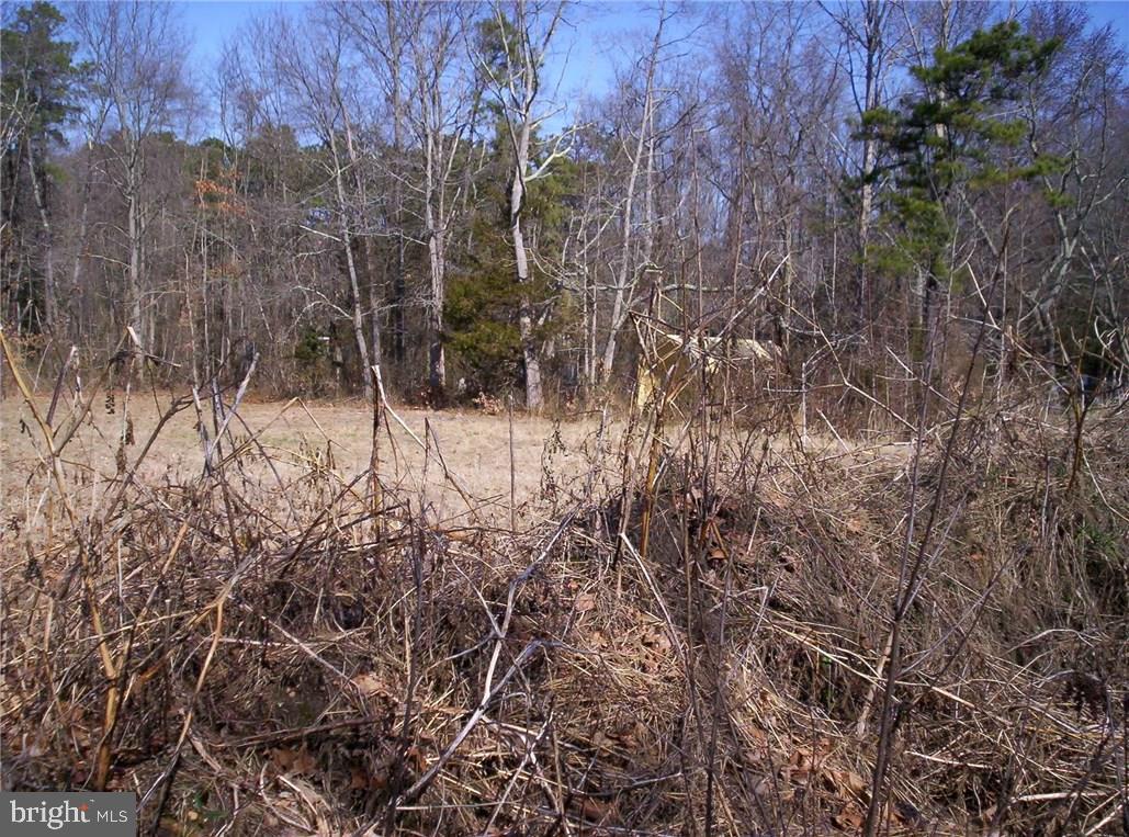 921 Little Mill Road Monroeville, NJ 08343 - Photo 11 of 40