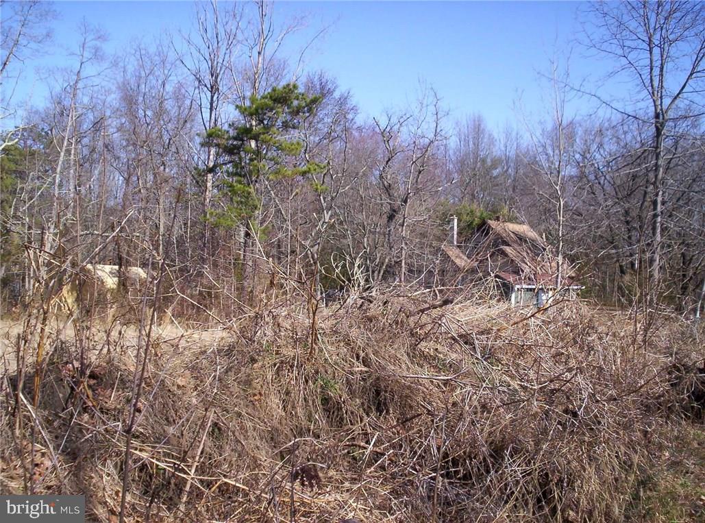 921 Little Mill Road Monroeville, NJ 08343 - Photo 12 of 40