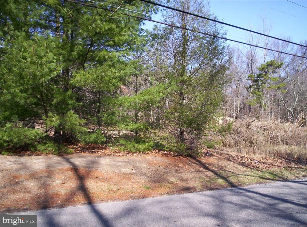 921 Little Mill Road Monroeville, NJ 08343 - Photo 14 of 40