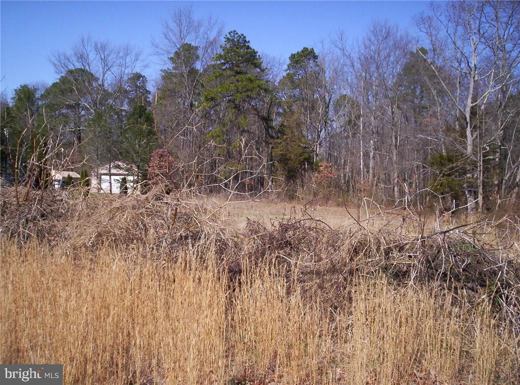 921 Little Mill Road Monroeville, NJ 08343 - Photo 16 of 40
