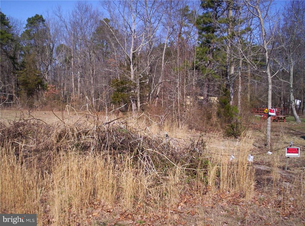 921 Little Mill Road Monroeville, NJ 08343 - Photo 17 of 40