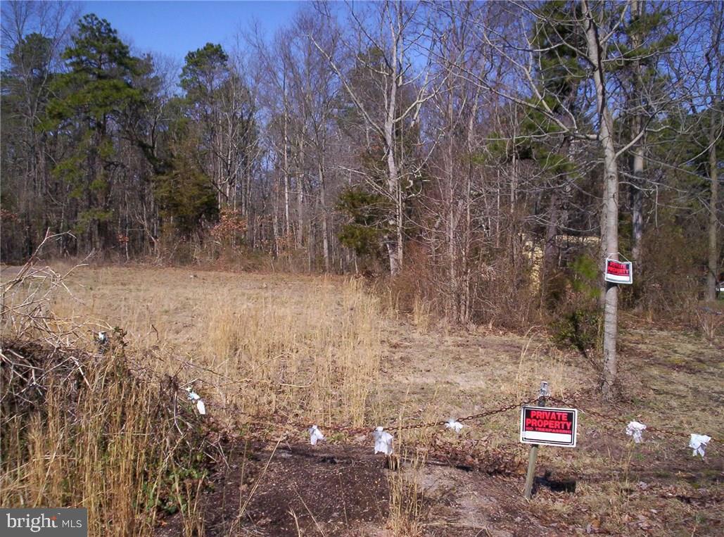 921 Little Mill Road Monroeville, NJ 08343 - Photo 18 of 40