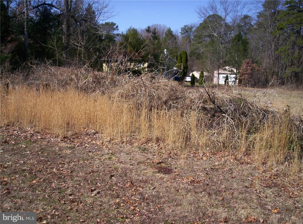 921 Little Mill Road Monroeville, NJ 08343 - Photo 3 of 40