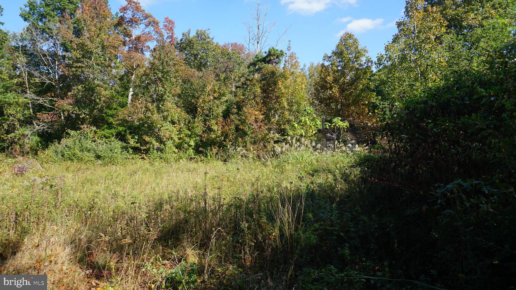 921 Little Mill Road Monroeville, NJ 08343 - Photo 27 of 40