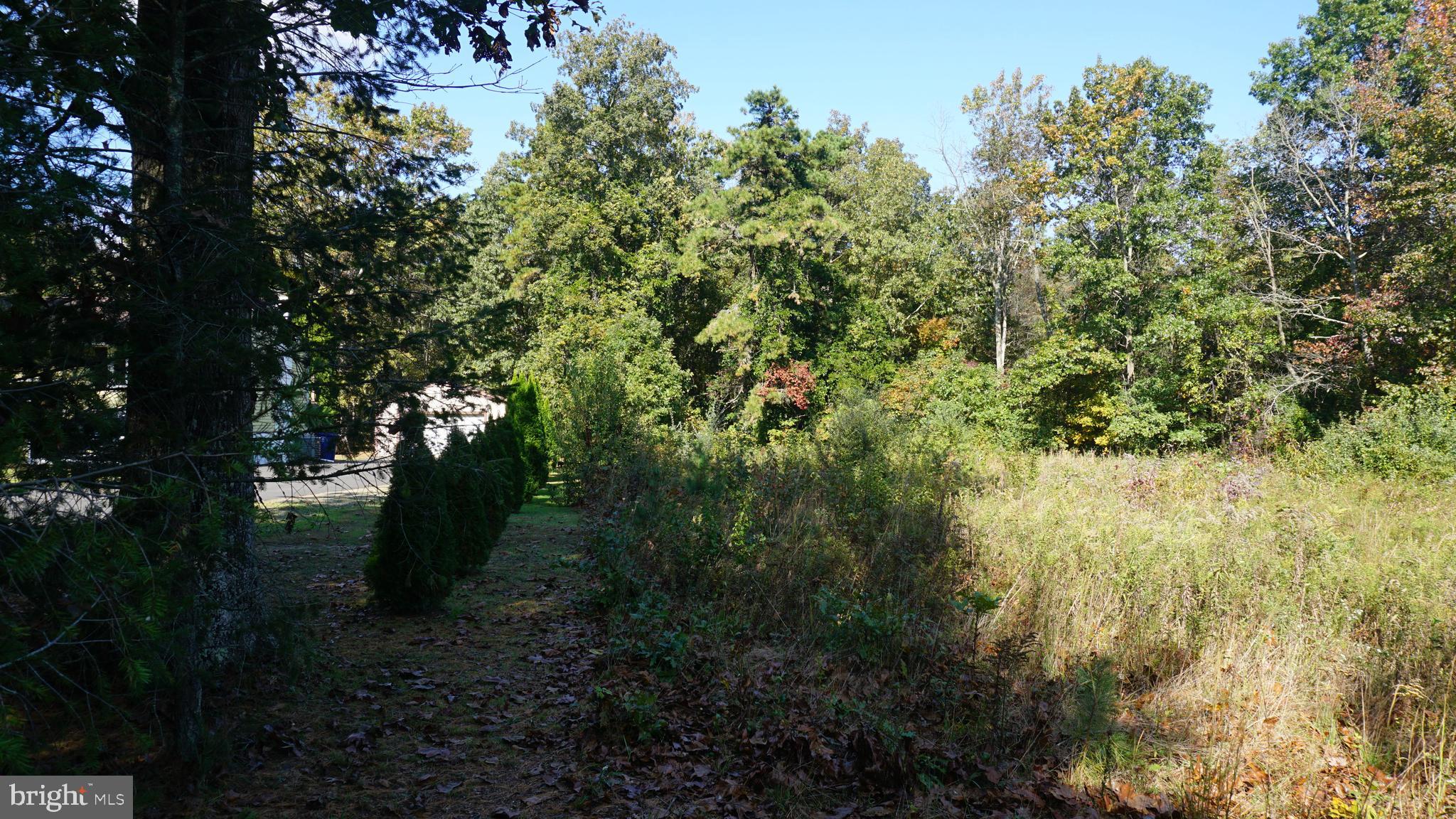 921 Little Mill Road Monroeville, NJ 08343 - Photo 28 of 40