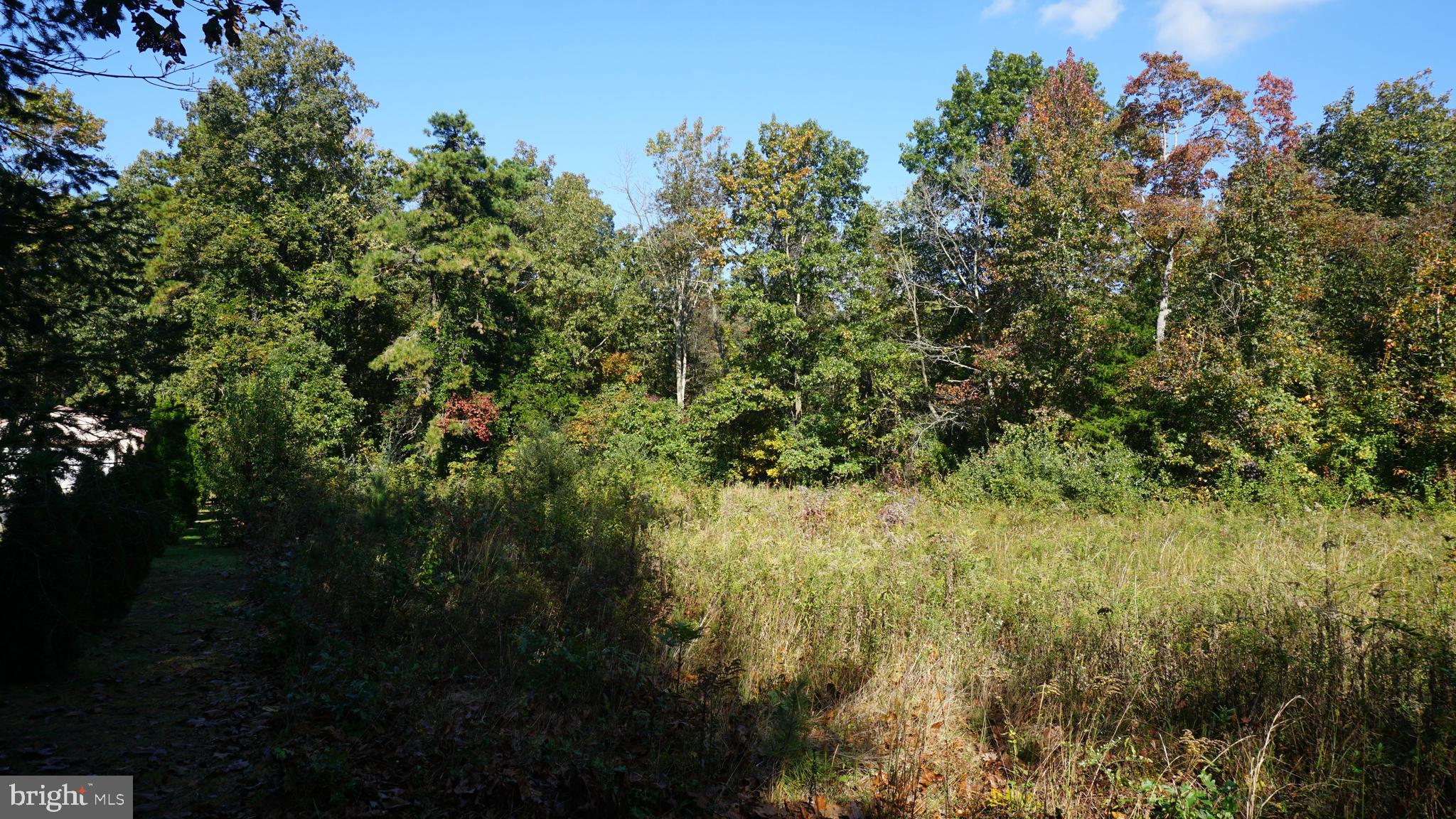 921 Little Mill Road Monroeville, NJ 08343 - Photo 29 of 40