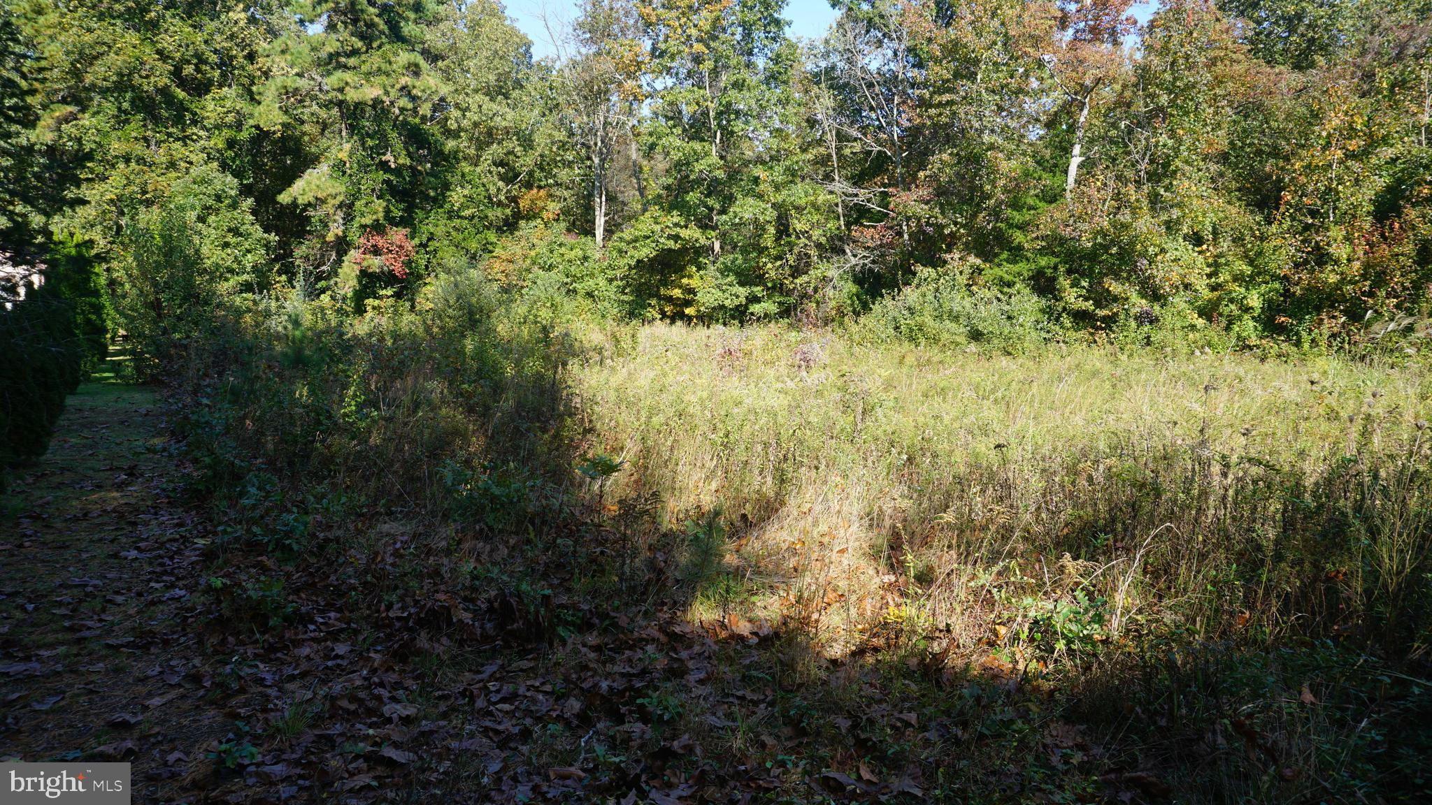 921 Little Mill Road Monroeville, NJ 08343 - Photo 30 of 40
