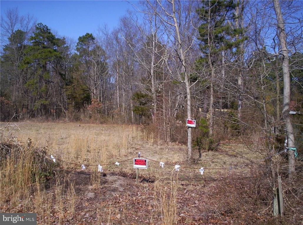 921 Little Mill Road Monroeville, NJ 08343 - Photo 4 of 40