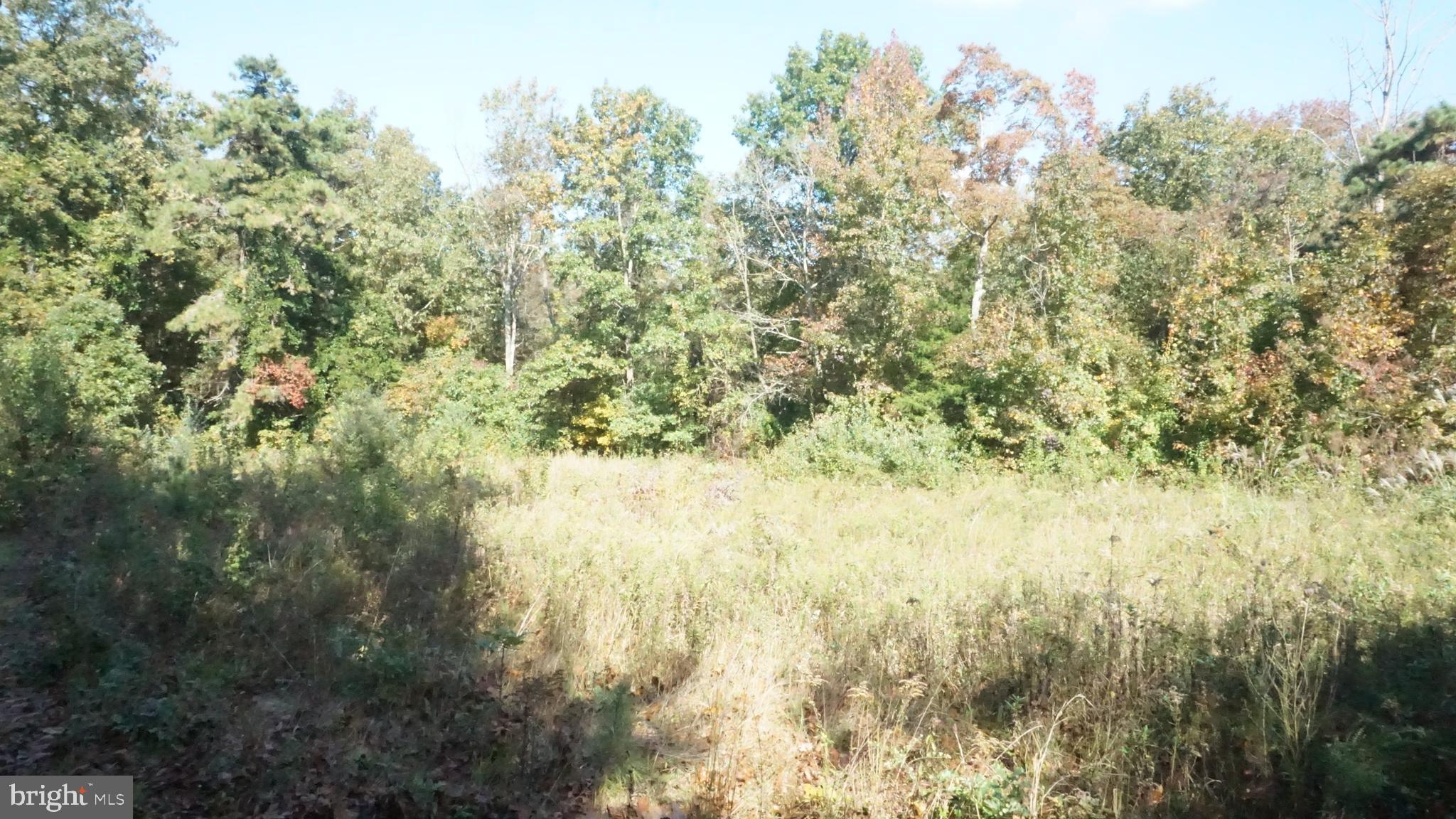921 Little Mill Road Monroeville, NJ 08343 - Photo 31 of 40