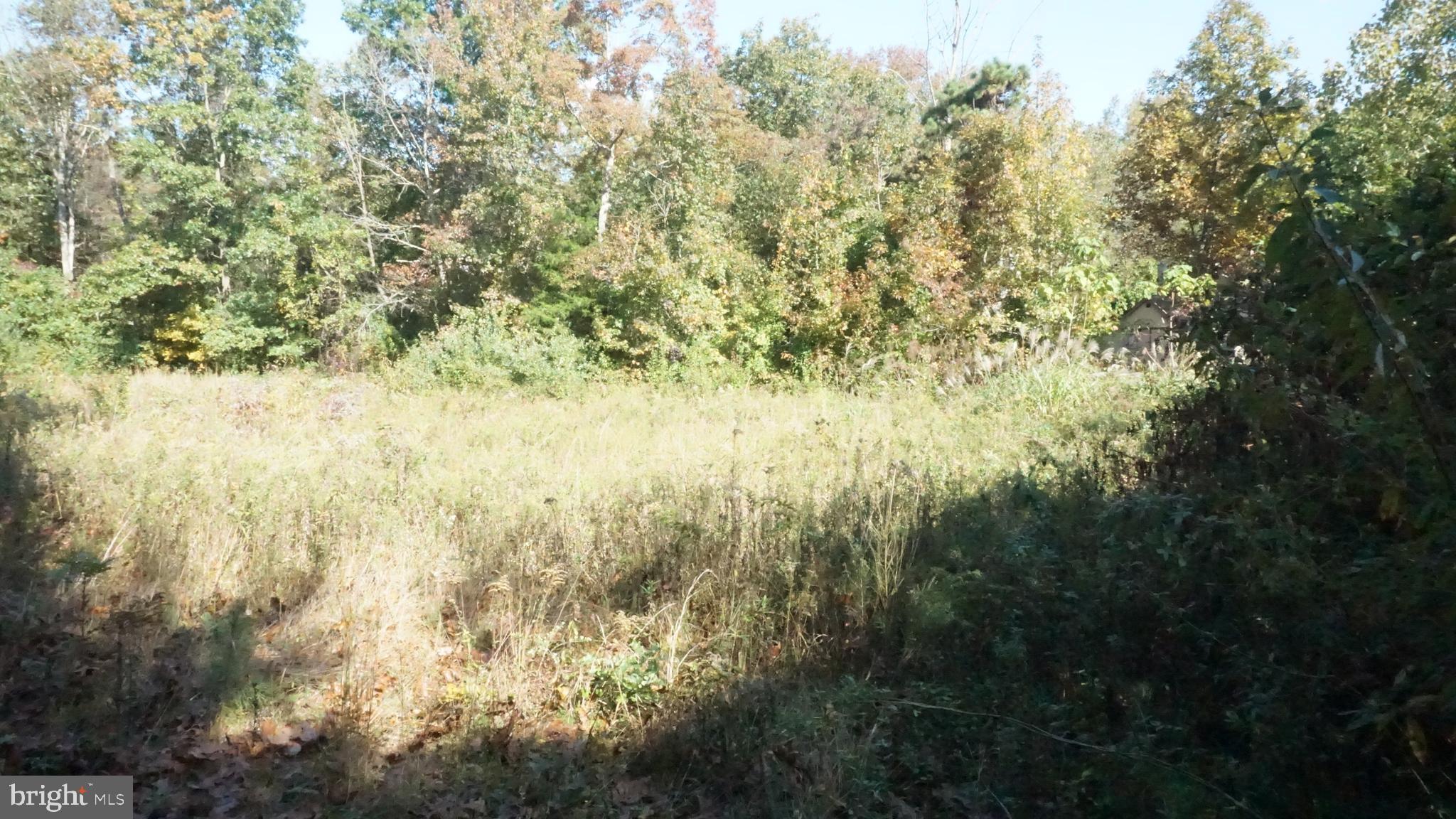 921 Little Mill Road Monroeville, NJ 08343 - Photo 32 of 40