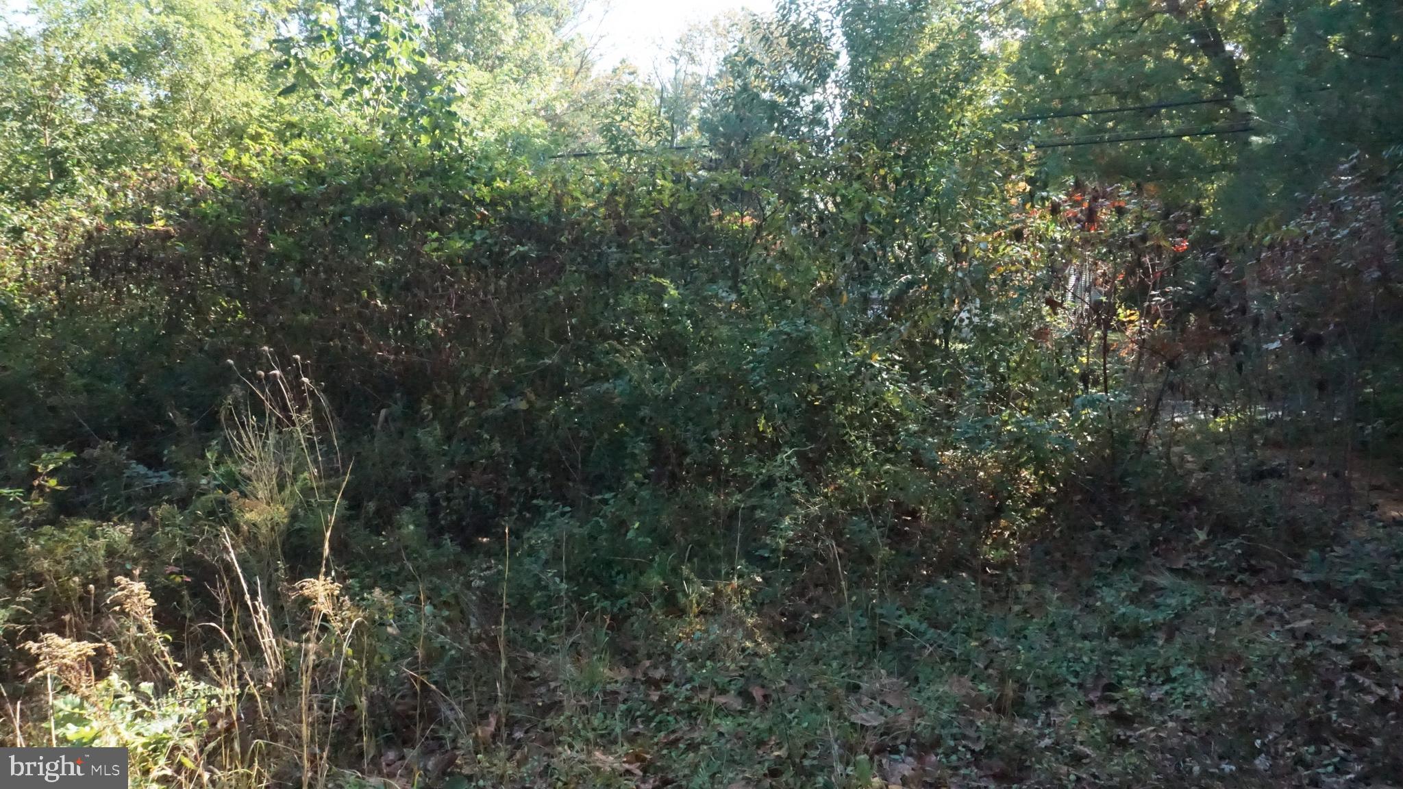921 Little Mill Road Monroeville, NJ 08343 - Photo 34 of 40