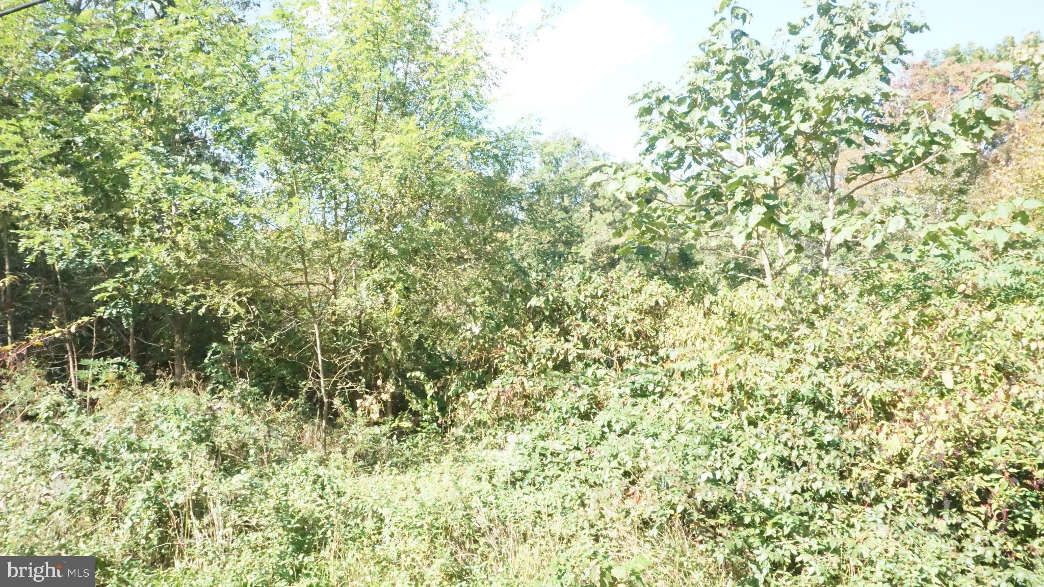 921 Little Mill Road Monroeville, NJ 08343 - Photo 39 of 40