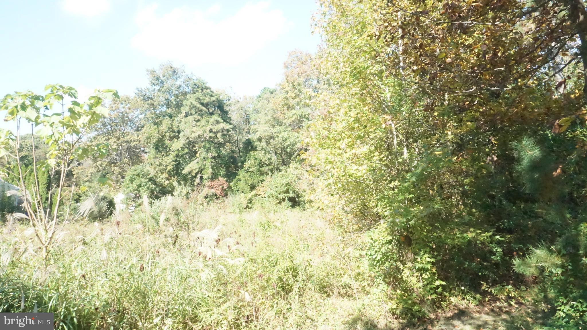 921 Little Mill Road Monroeville, NJ 08343 - Photo 40 of 40
