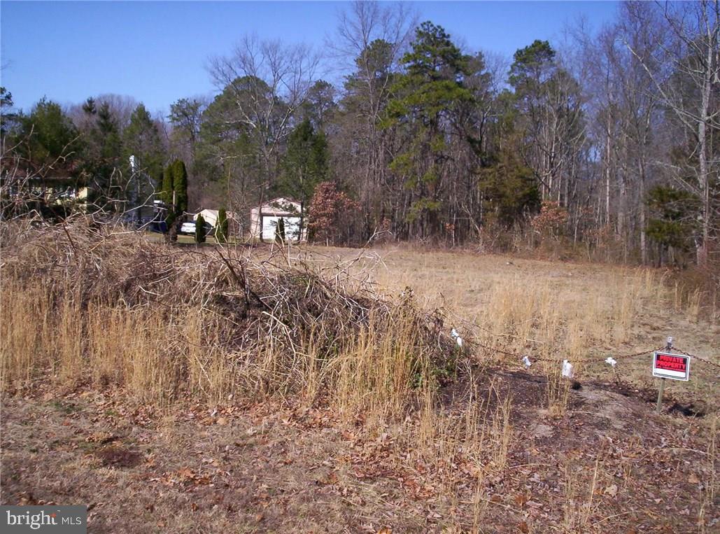 921 Little Mill Road Monroeville, NJ 08343 - Photo 5 of 40