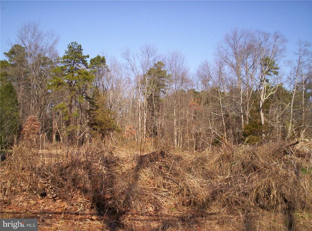 921 Little Mill Road Monroeville, NJ 08343 - Photo 6 of 40