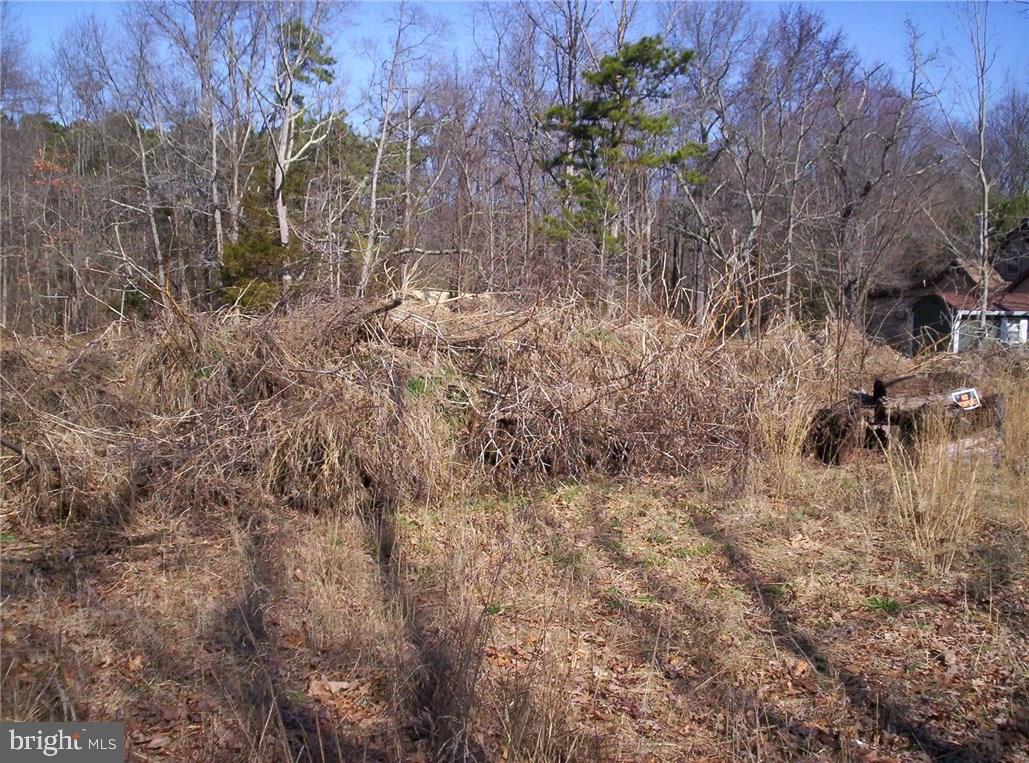 921 Little Mill Road Monroeville, NJ 08343 - Photo 7 of 40