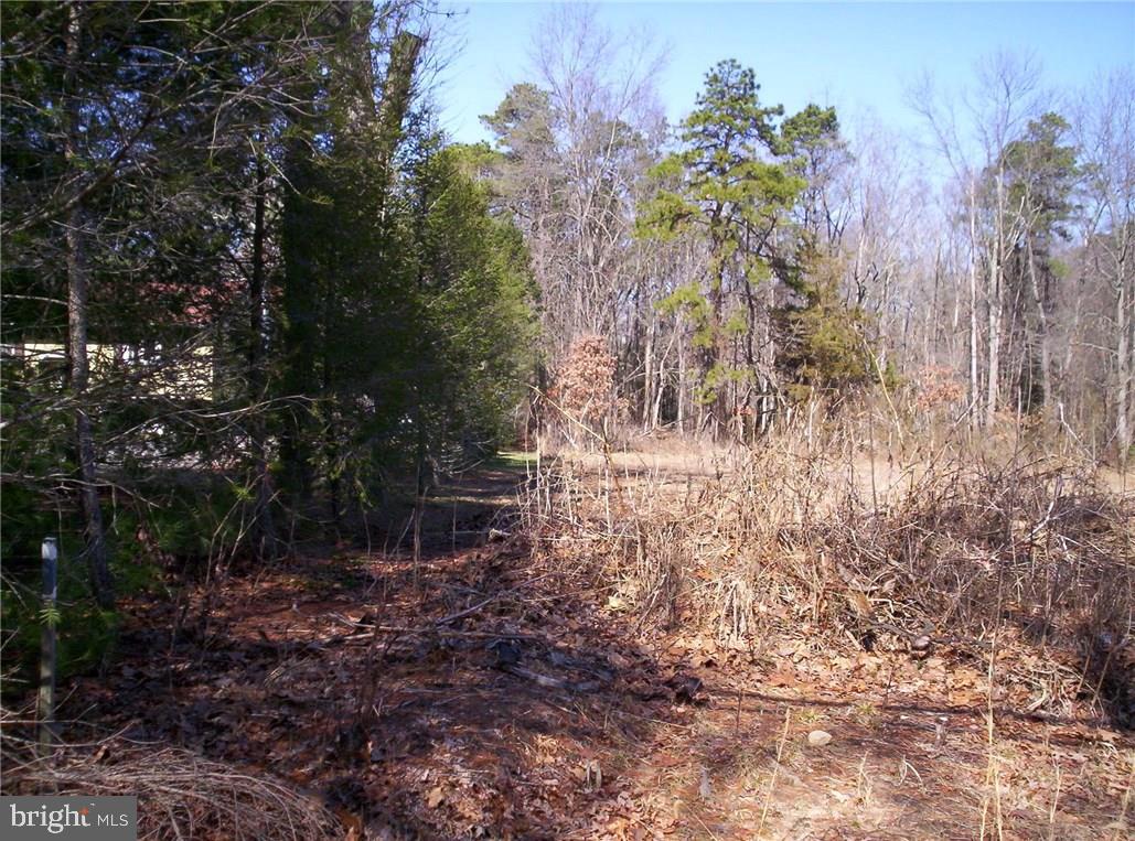 921 Little Mill Road Monroeville, NJ 08343 - Photo 8 of 40