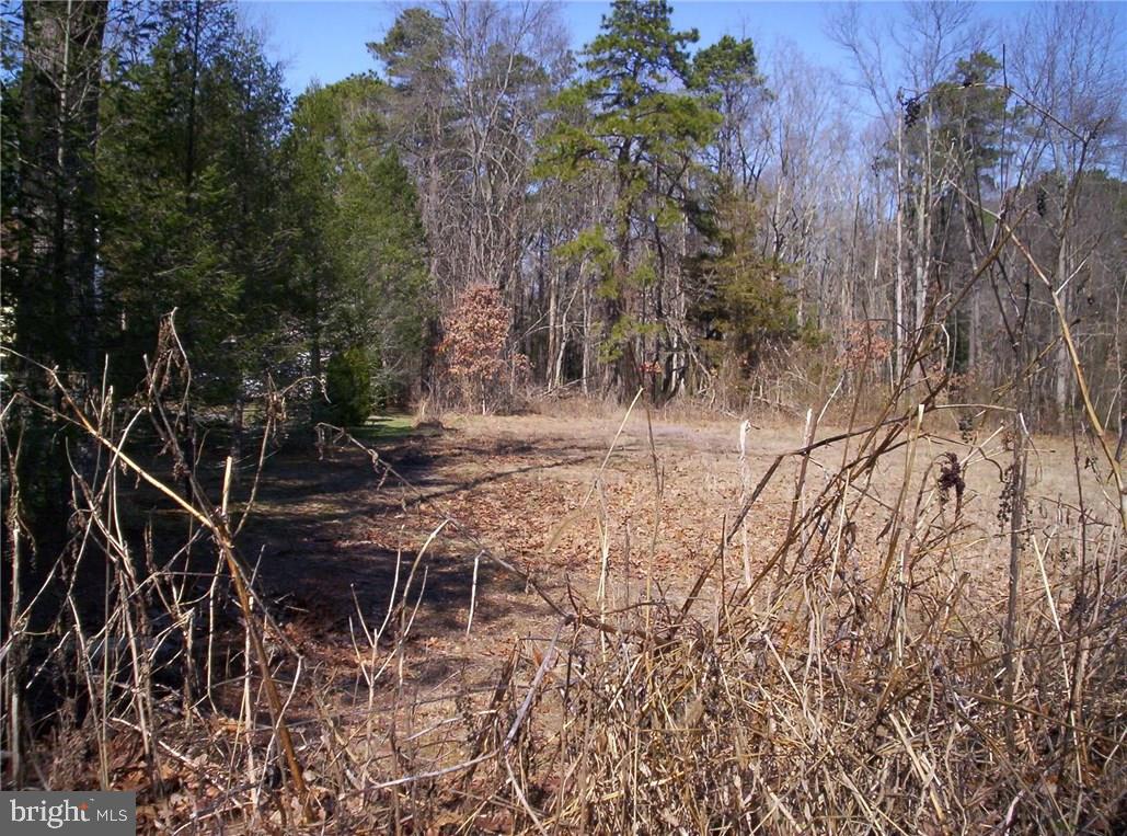 921 Little Mill Road Monroeville, NJ 08343 - Photo 9 of 40