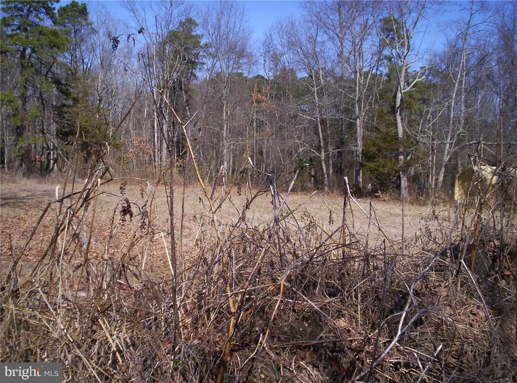 921 Little Mill Road Monroeville, NJ 08343 - Photo 10 of 40