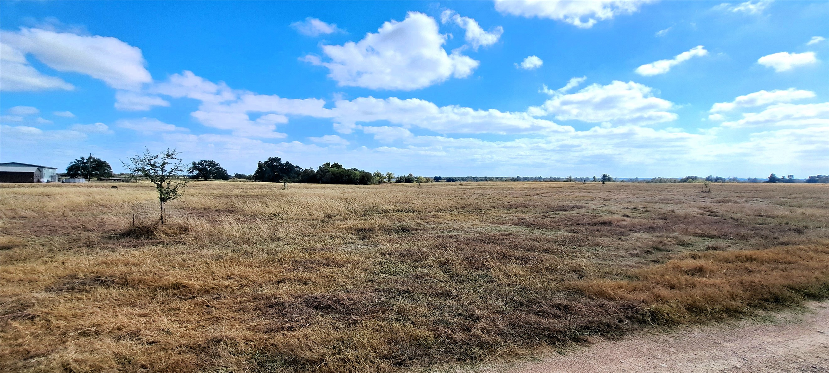 3432 County Road 206 Cameron, TX 76520 - Photo 15 of 39 View of local wilderness featuring rural landscape