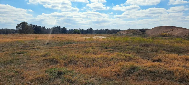 a view of a yard with plants and trees