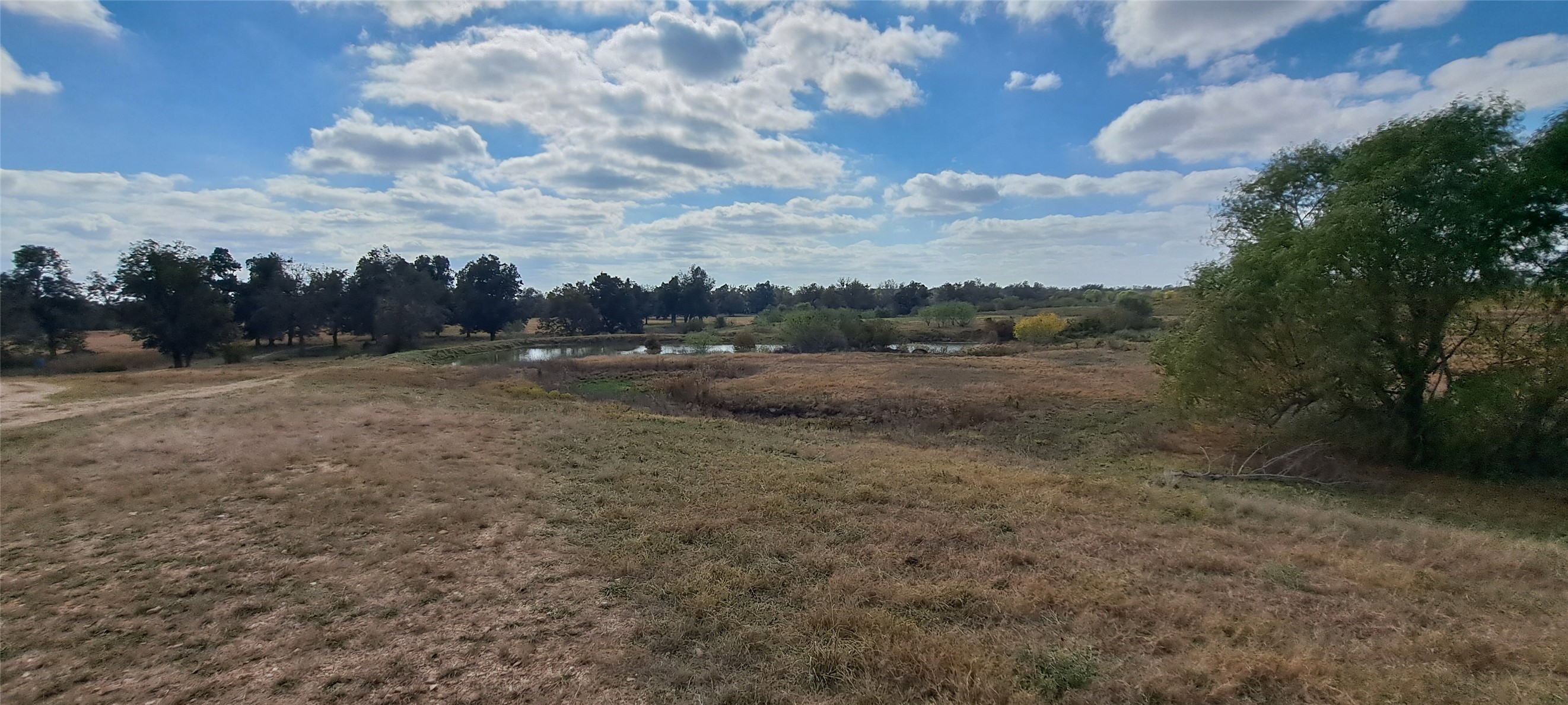 3432 County Road 206 Cameron, TX 76520 - Photo 18 of 39 View of local wilderness with rural landscape