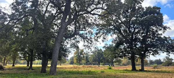 a view of outdoor space with trees all around