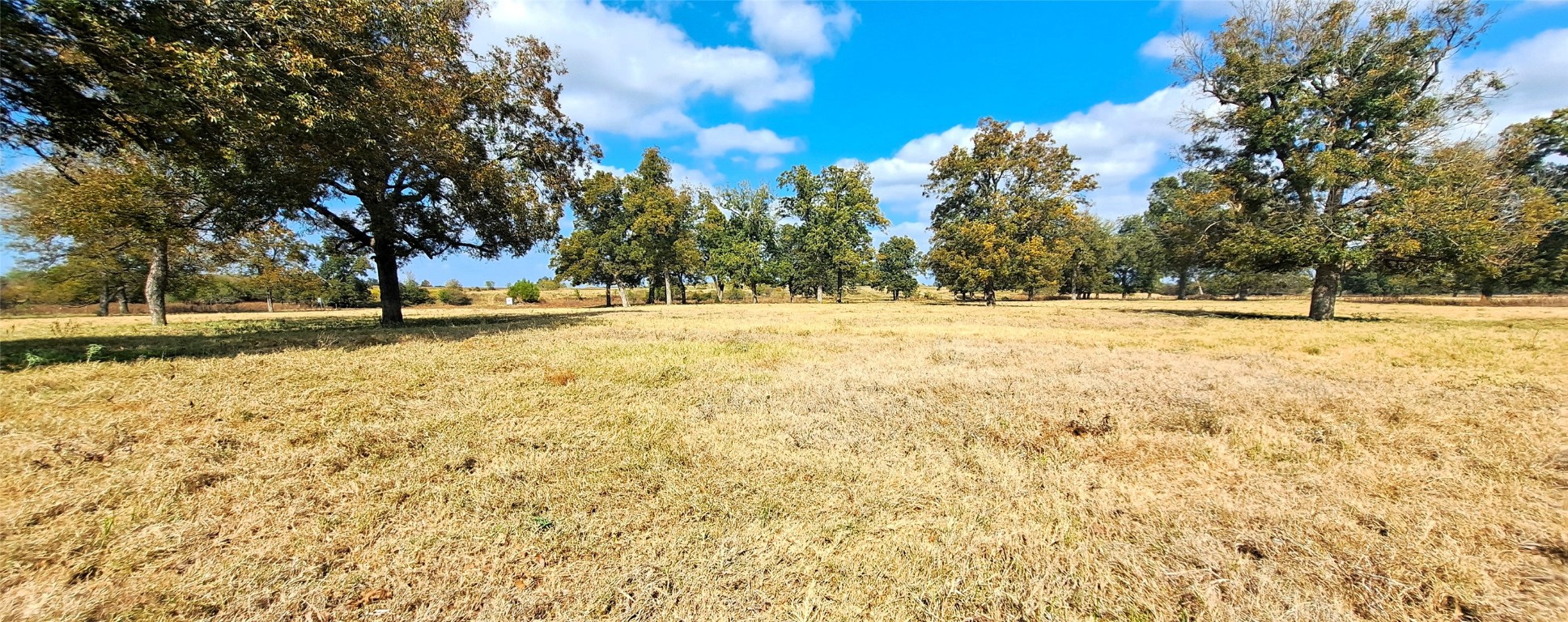 3432 County Road 206 Cameron, TX 76520 - Photo 26 of 39 a view of yard with trees