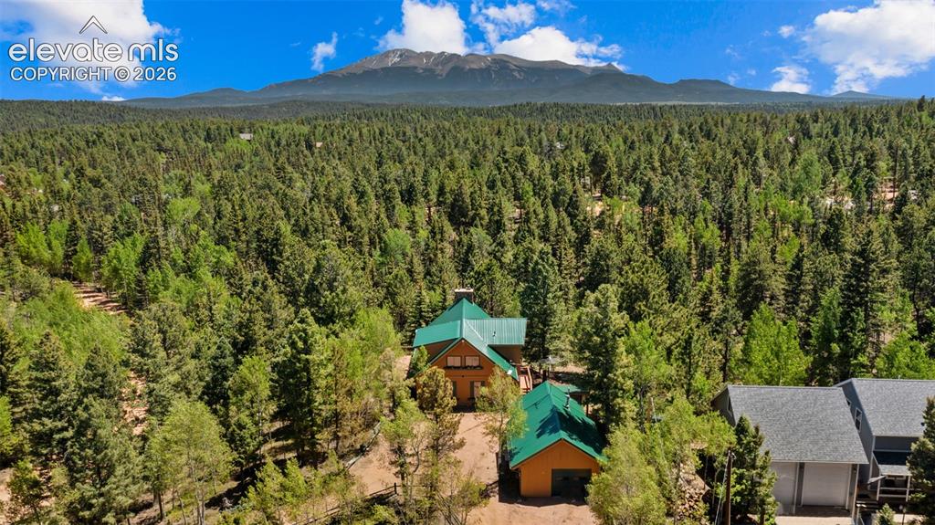 506 Ridge Road Divide, CO 80814 - Photo 47 of 50