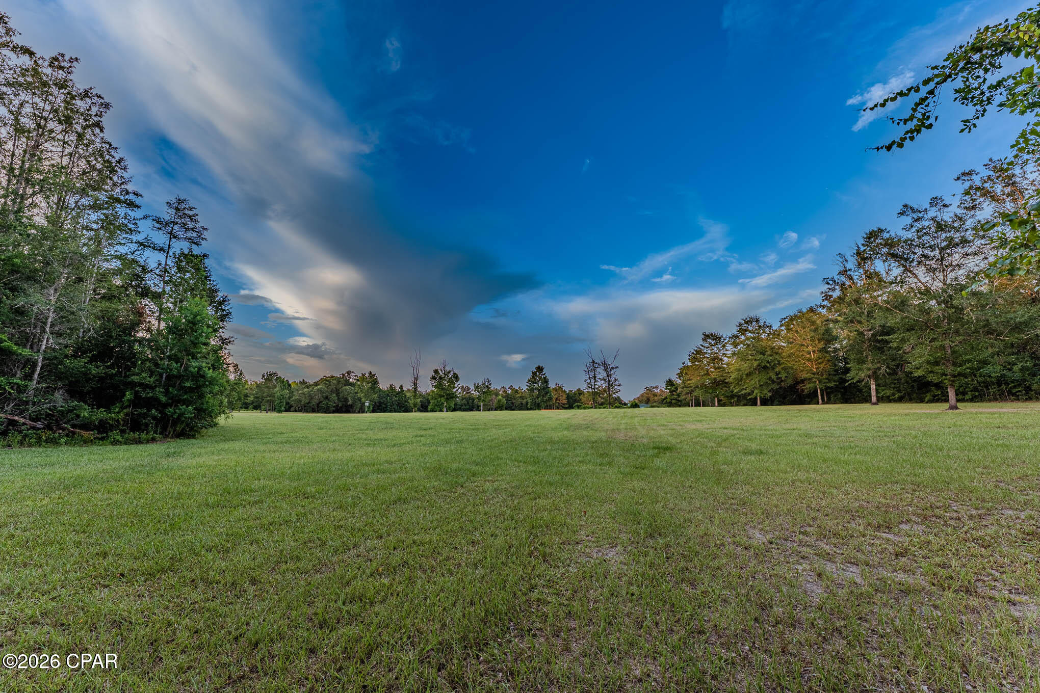 90 Highway 90 Grand Ridge, FL 32442 - Photo 17 of 40