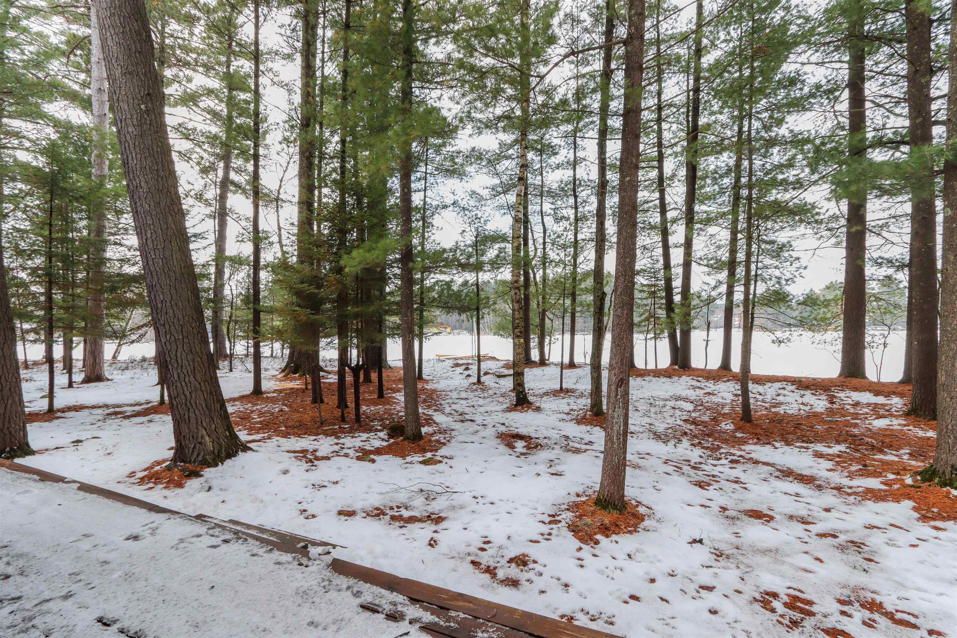 E1234 Pine Tree Point Waupaca, WI 54981 - Photo 42 of 51