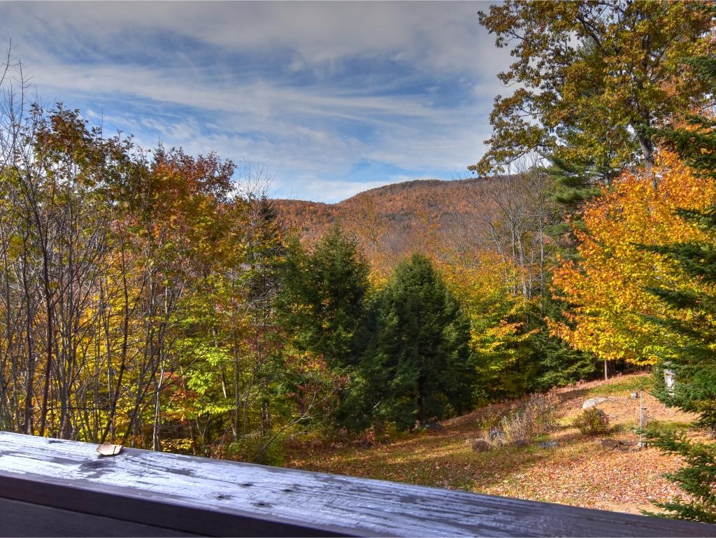 38 Ridge Road Jackson, NH 03846 - Photo 2 of 24