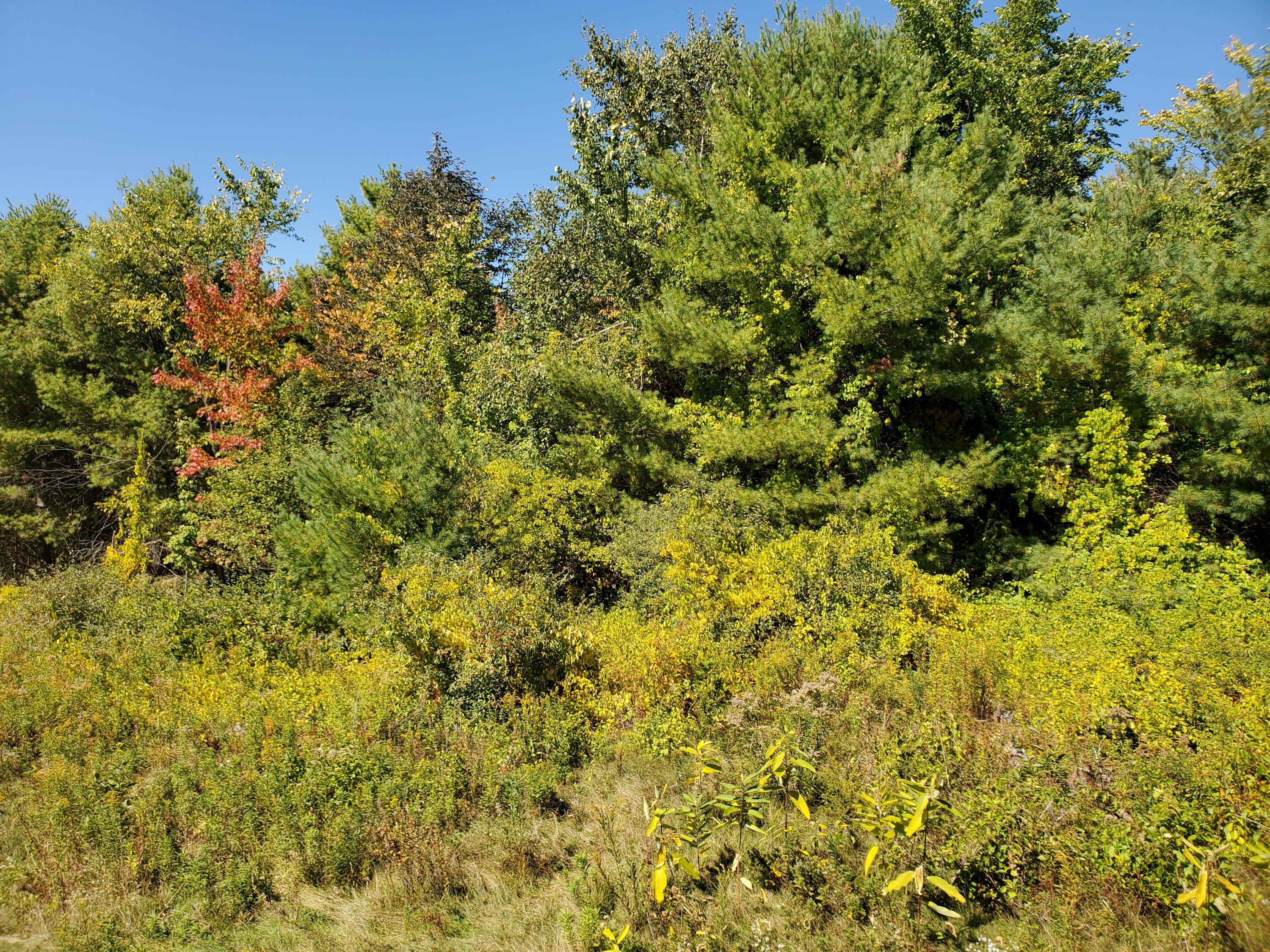 285 Ramsdell Road Farmington, ME 04938 - Photo 2 of 11 20200918_124627