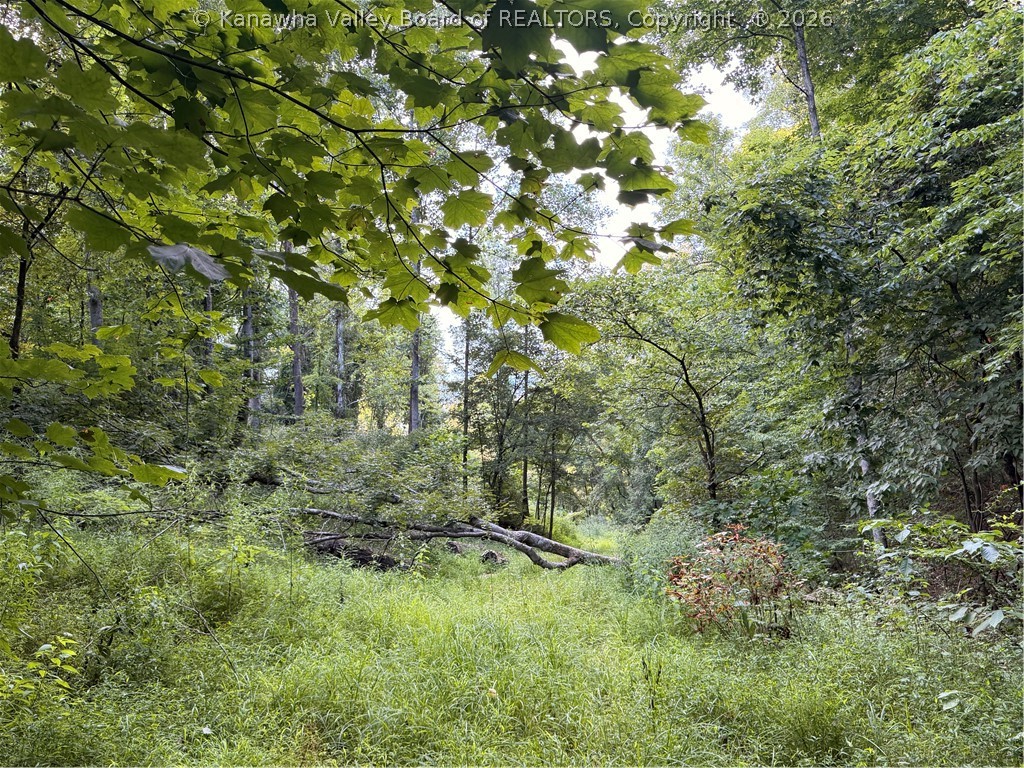 0 Dairy Road Poca, WV 25159 - Photo 22 of 23 Gallery Image 22