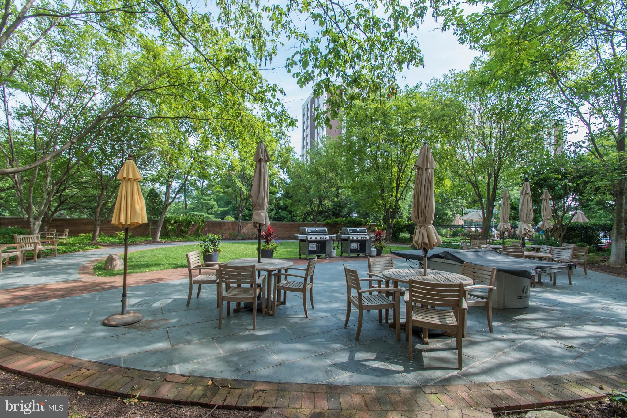 11700 Old Georgetown Road, Unit 807 North Bethesda, MD 20852 - Photo 25 of 37 a view of a backyard with sitting area
