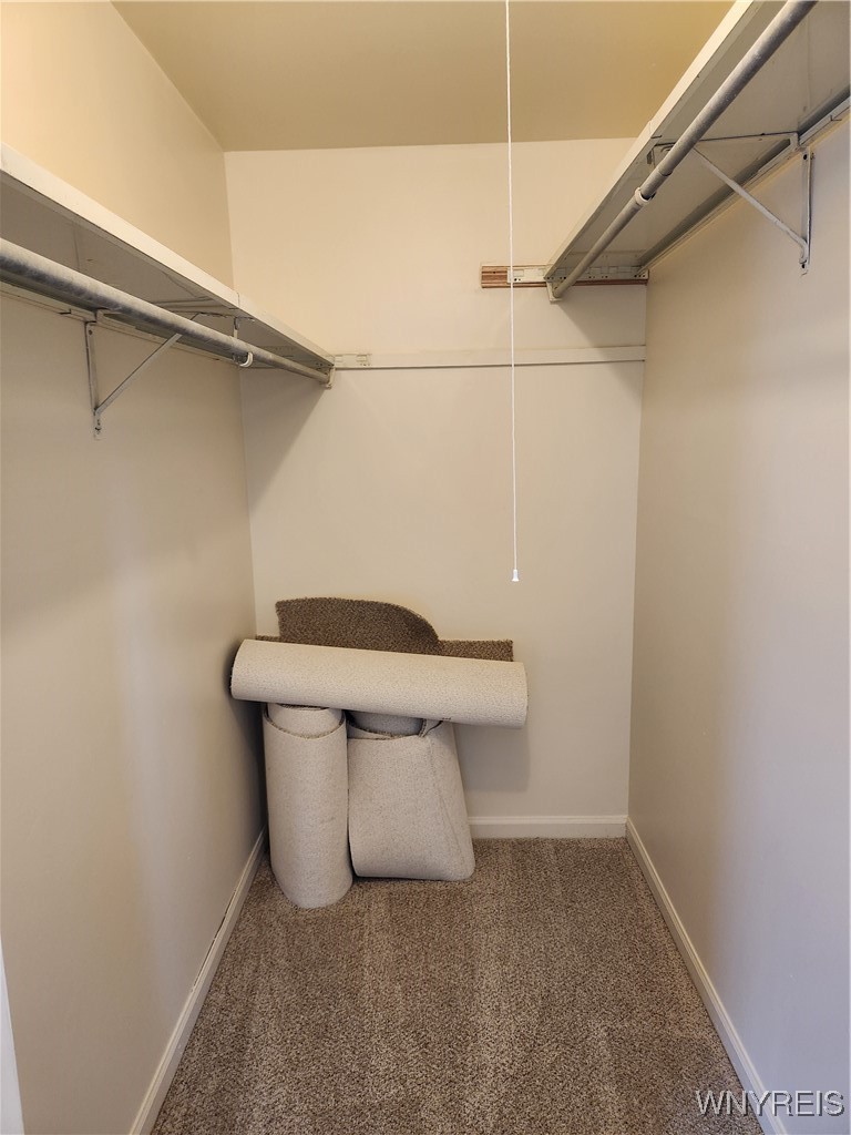 95 Pheasant Run Road Amherst, NY 14228 - Photo 16 of 22 Primary bedroom walk-in closet