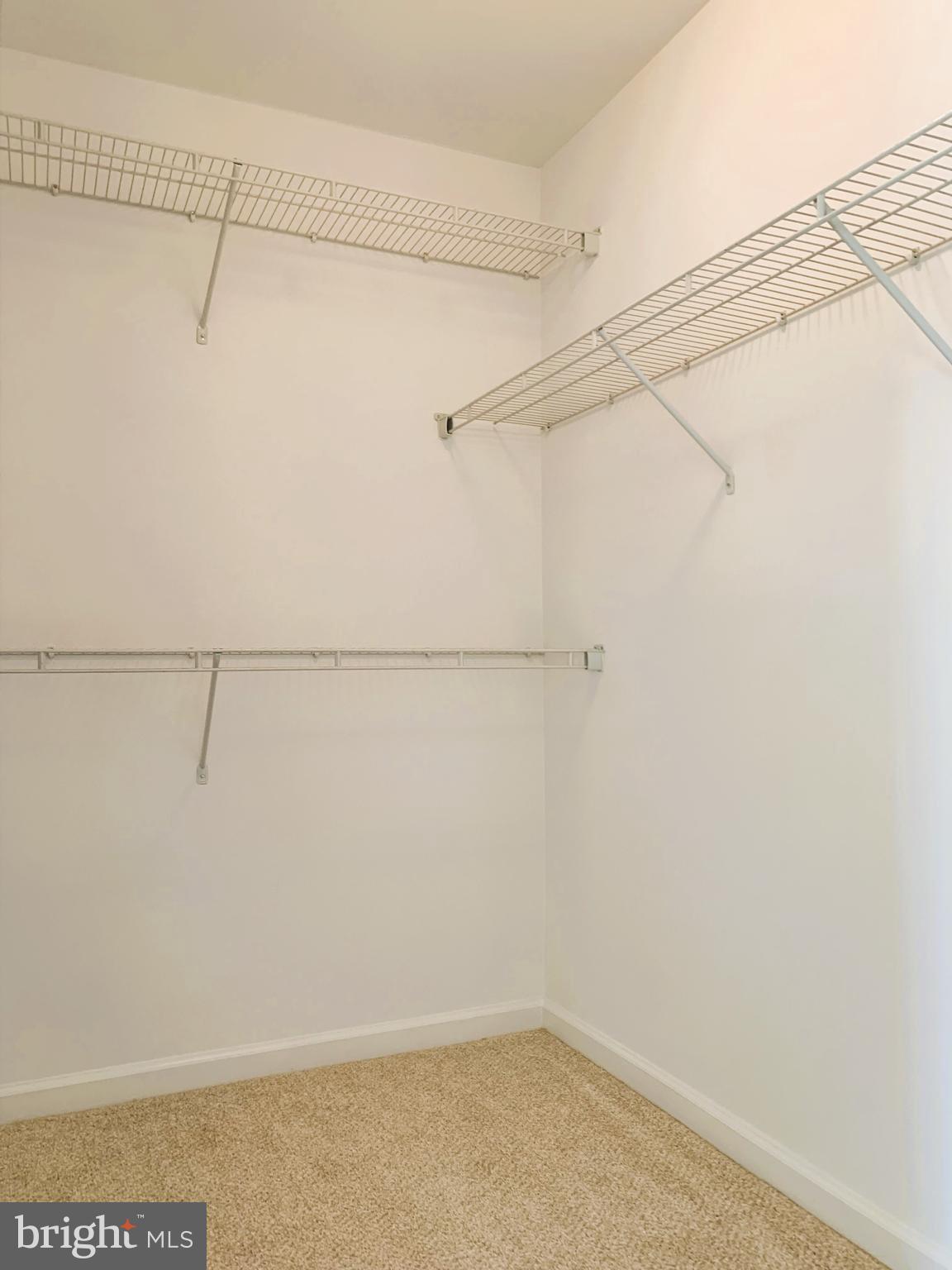 2052 Spring Run Circle Frederick, MD 21702 - Photo 17 of 31 Primary Bedroom Walk In Closet