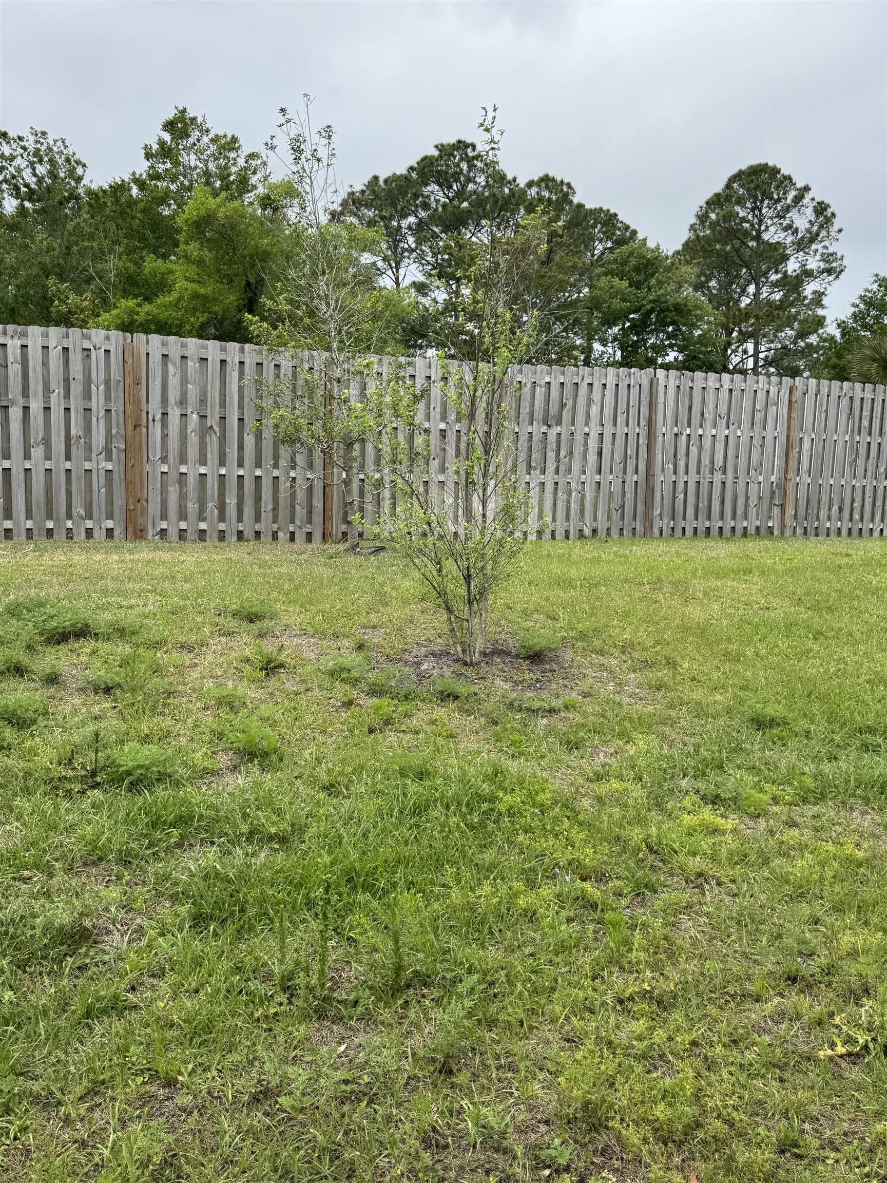 203 Chesterwood Road St. Augustine, FL 32084 - Photo 23 of 25