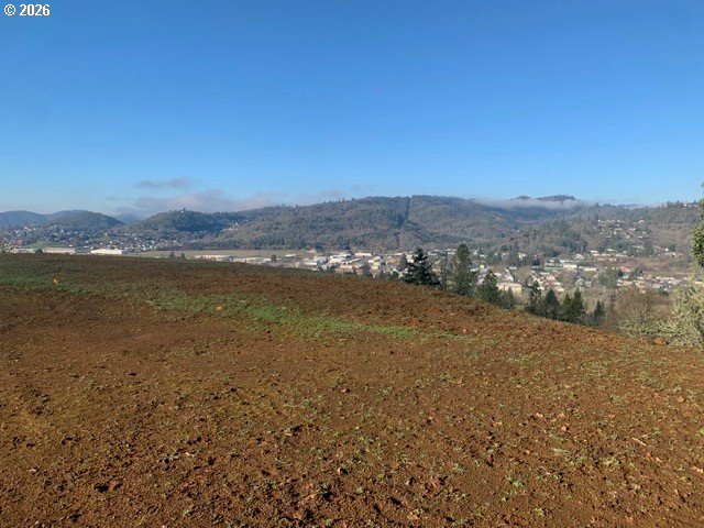 2 Northeast Pearce Road, Unit 2 Roseburg, OR 97470 - Photo 14 of 22