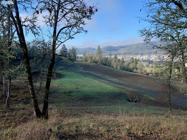2 Northeast Pearce Road, Unit 2 Roseburg, OR 97470 - Photo 20 of 22