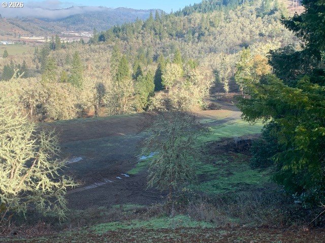 2 Northeast Pearce Road, Unit 2 Roseburg, OR 97470 - Photo 22 of 22