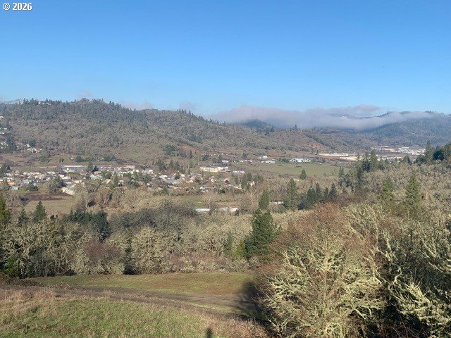 2 Northeast Pearce Road, Unit 2 Roseburg, OR 97470 - Photo 3 of 22