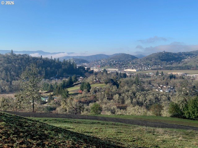 2 Northeast Pearce Road, Unit 2 Roseburg, OR 97470 - Photo 4 of 22