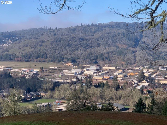 2 Northeast Pearce Road, Unit 2 Roseburg, OR 97470 - Photo 6 of 22