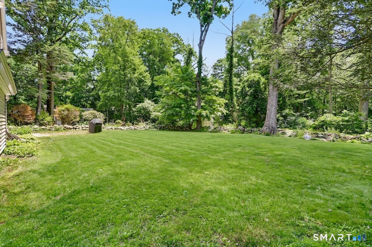 31 Vista Road Wilton, CT 06897 - Photo 4 of 34 The generous backyard offers exceptional privacy and abundant space for recreation, gatherings, and relaxation.