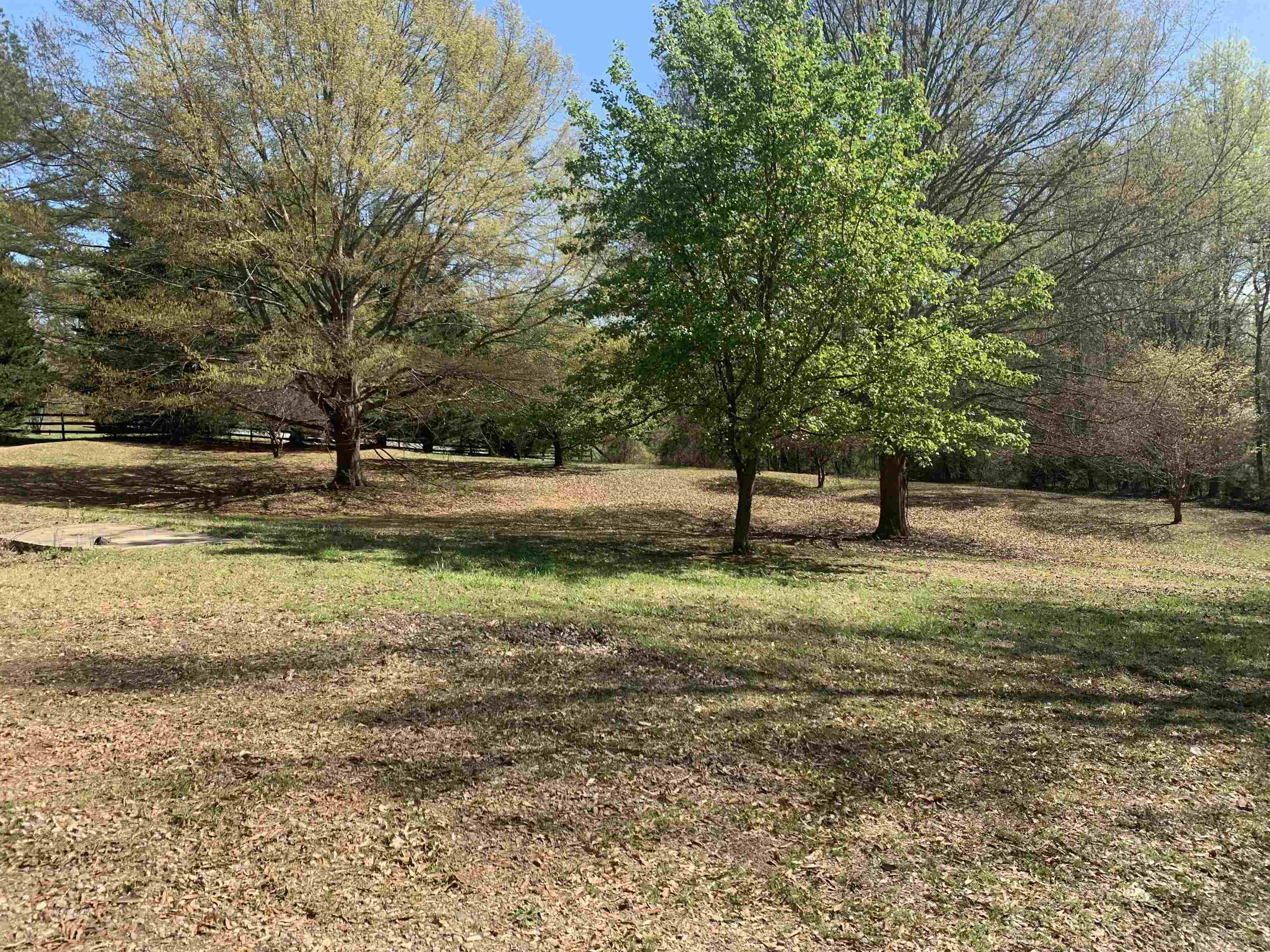 545 Old Mill Road Campobello, SC 29322 - Photo 8 of 19