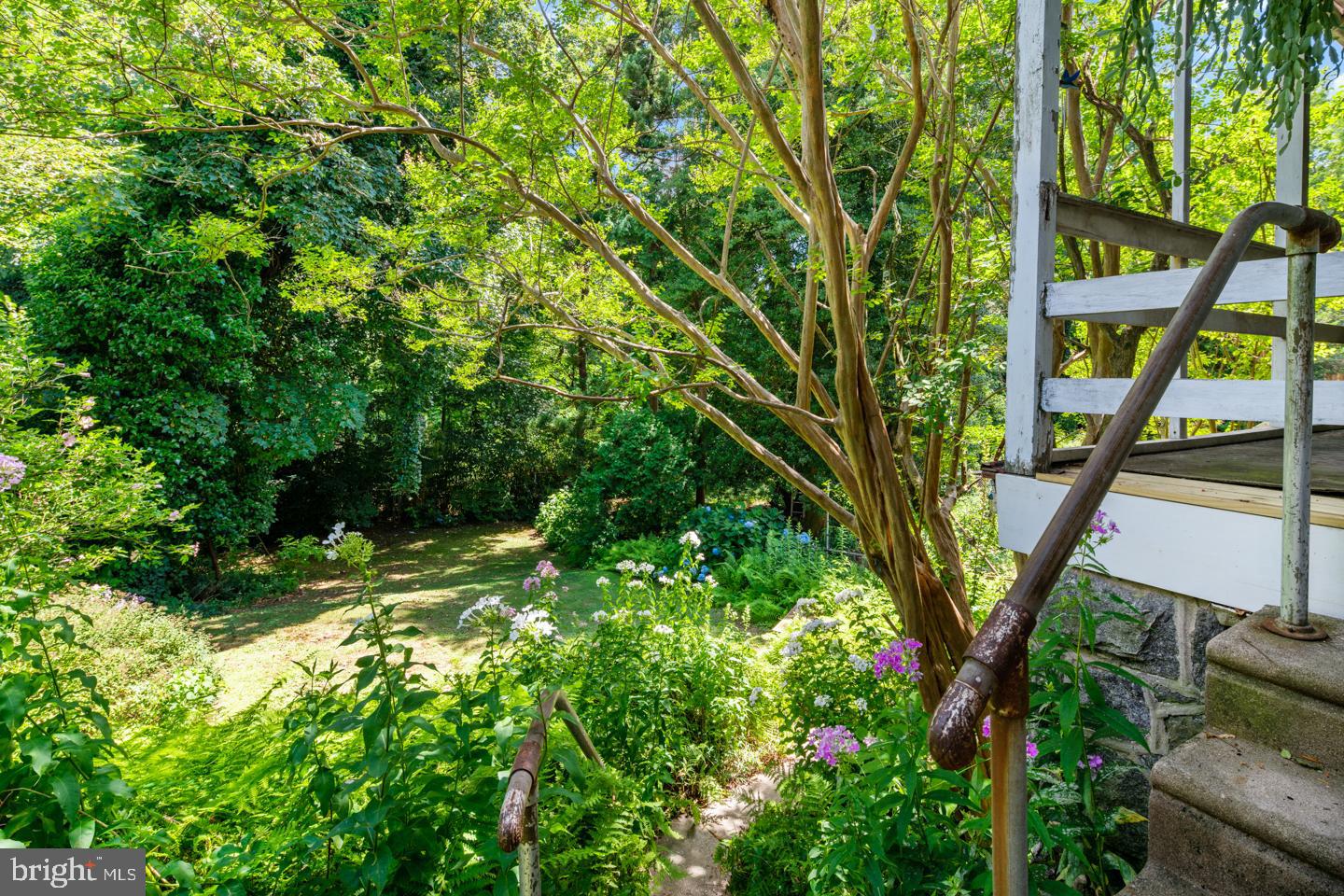 126 Rochelle Avenue Philadelphia, PA 19128 - Photo 32 of 34 Mature plantings in private backyard